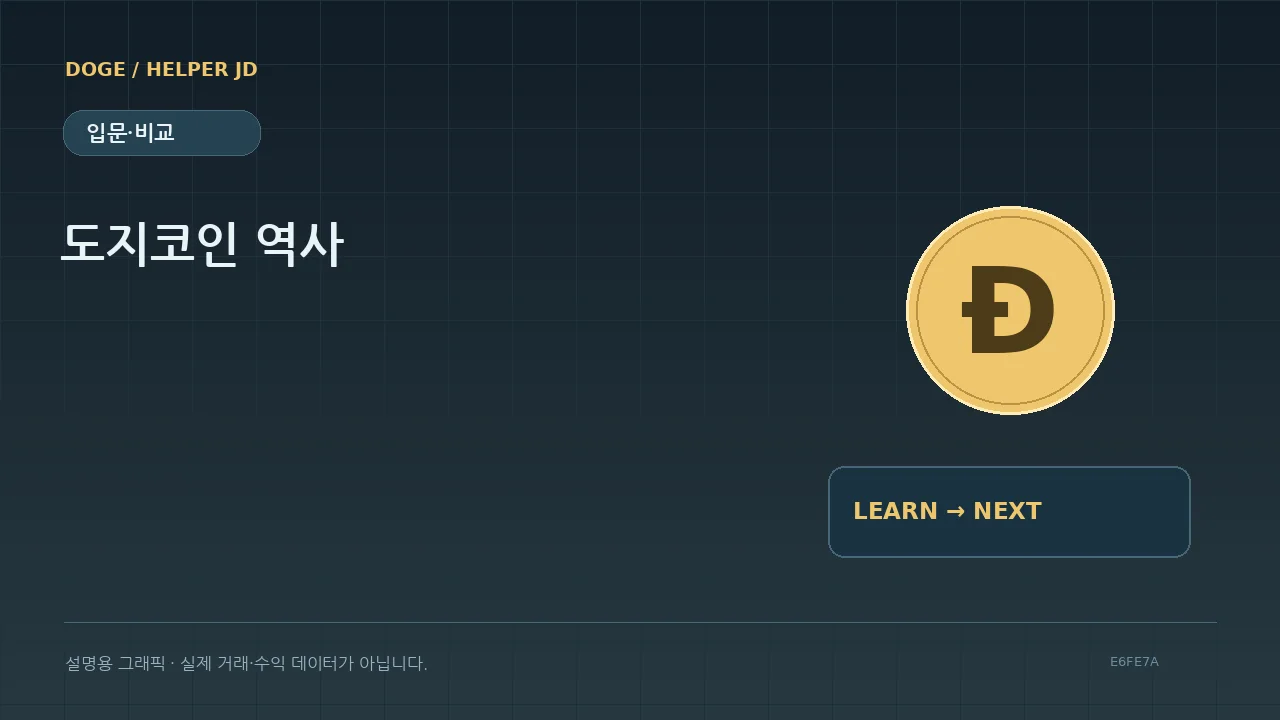 입문·비교 설명용 그래픽