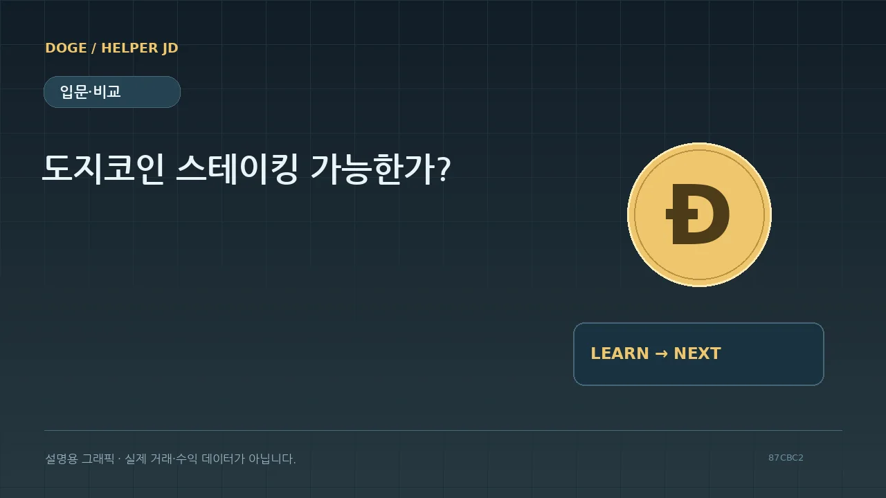 입문·비교 설명용 그래픽